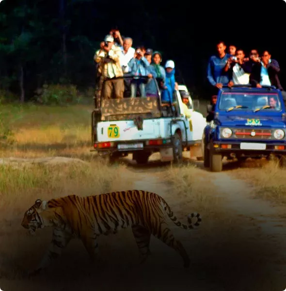 Destination-Jim Corbett-The Trip Company